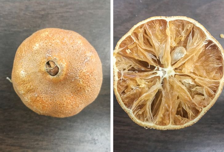 “I left a clementine on my desk for 6 months and it never got moldy.”