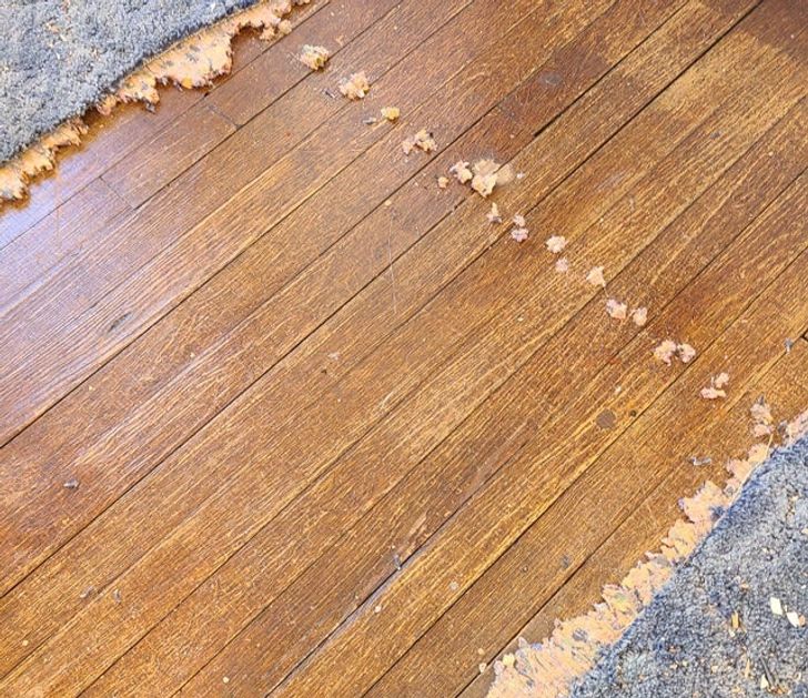 “The oak floors I uncovered in the first room I’m working on in my house, generally in very good condition”