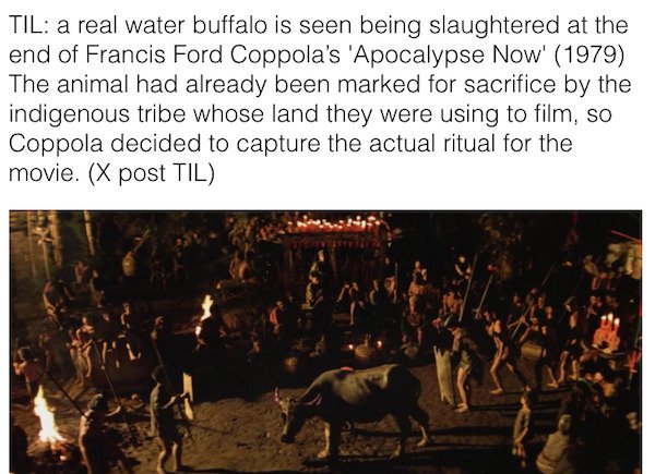 22 Movie Facts That Really Happened.