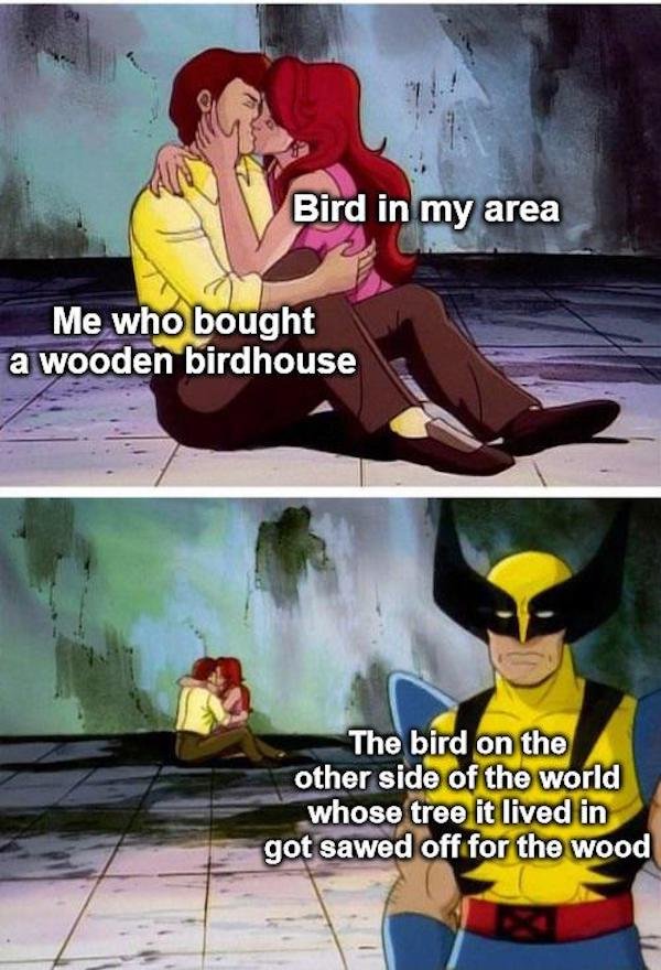 depression memes - callmecarson dream smp - Bird in my area Me who bought a wooden birdhouse The bird on the other side of the world whose tree it lived in got sawed off for the wood