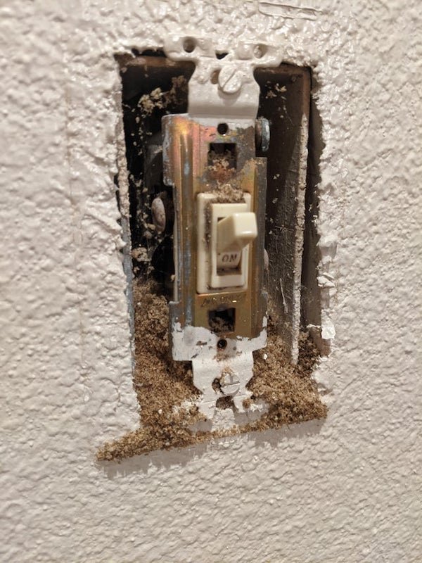 Took cover plate off light switch and this is under it. Feels like sawdust, but more “springy”.

A: Looks like termite frass