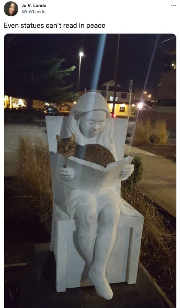 funny tweets - Cat - Jo V. Lande Even statues can't read in peace