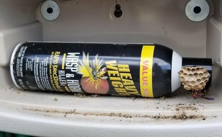 “Wasps made a nest on my anti-wasp spray bottle.”