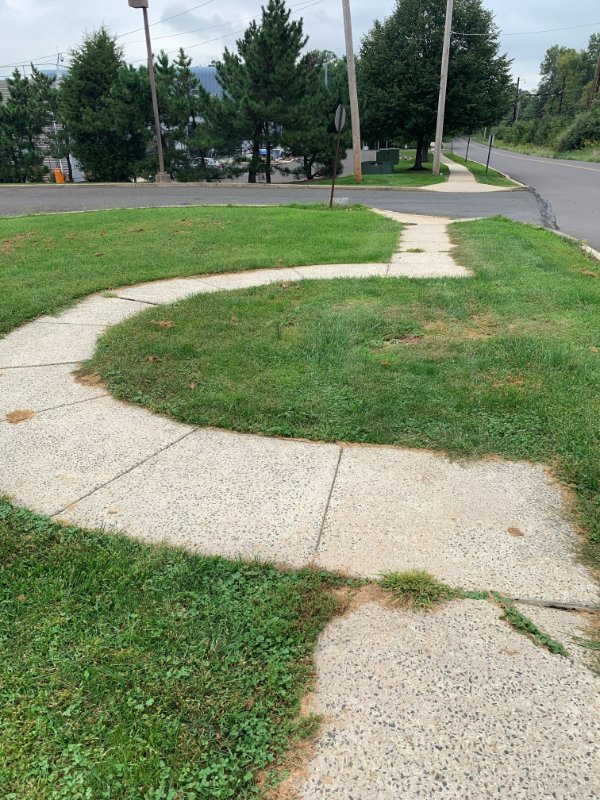 “This sidewalk was built to accommodate a tree that now, no longer exists.”