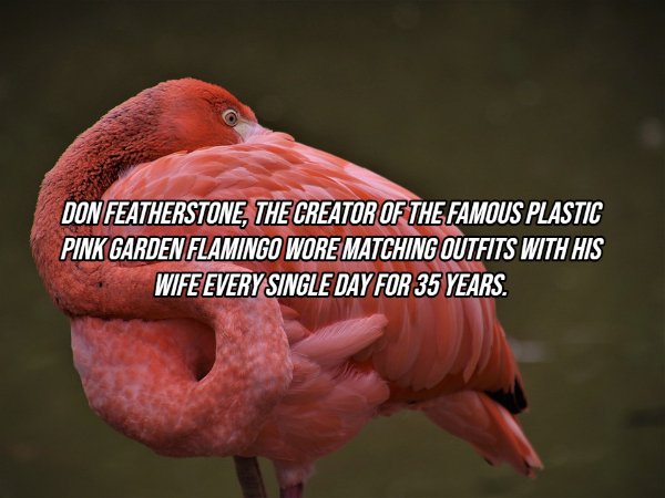 18 Useless Facts To Fill Your Head With.