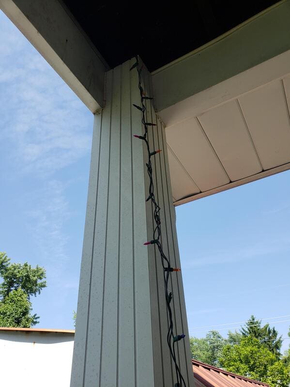 “My roommate set up Christmas lights in our carport so the birds who get stuck there can find their way out.”