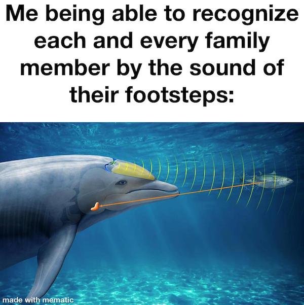 relatable pics that speak the truth - fauna - Me being able to recognize each and every family member by the sound of their footsteps made with mematic