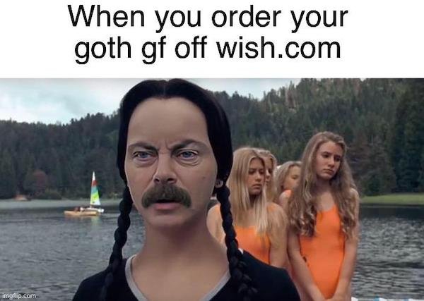 relatable pics that speak the truth - ron swanson as wednesday addams - When you order your goth gf off wish.com ofip.com
