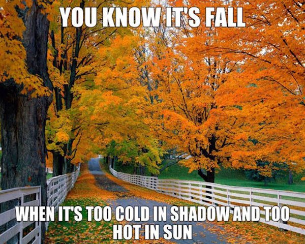 relatable pics that speak the truth - fall desktop - You Know It'S Fall When It'S Too Cold In Shadow And Too Hot In Sun