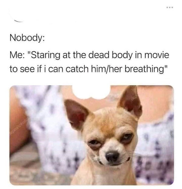 relatable pics that speak the truth - funny looking dog - Nobody Me "Staring at the dead body in movie to see if i can catch himher breathing"