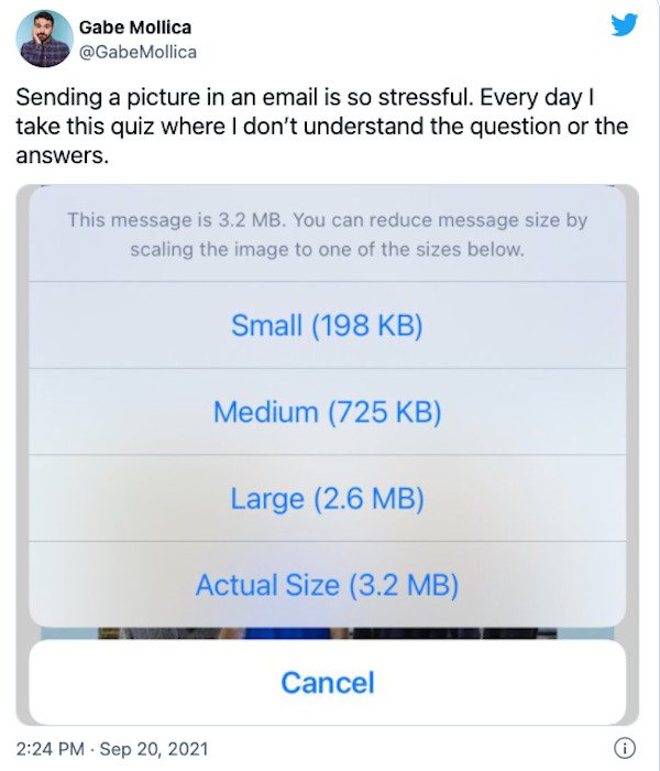 relatable pics that speak the truth - web page - Gabe Mollica Mollica Sending a picture in an email is so stressful. Every day! take this quiz where I don't understand the question or the answers. This message is 3.2 Mb. You can reduce message size by sca