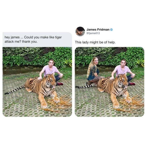 james fridman - James Fridman hey james ... Could you make tiger attack me? thank you. This lady might be of help. 20