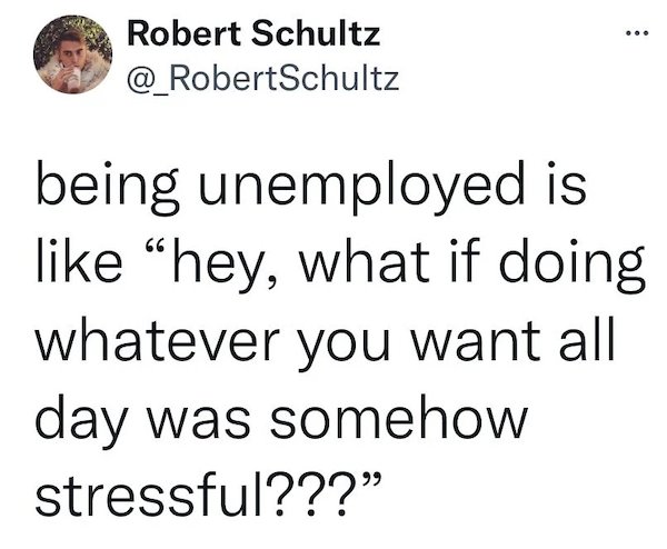 Robert Schultz Schultz being unemployed is hey, what if doing whatever you want all day was somehow stressful???