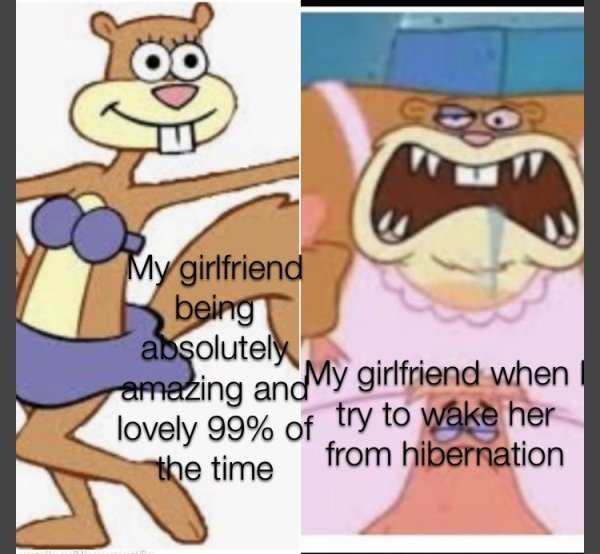 funny dating memes - cartoon - My girlfriend being absolutely amezing and My girlfriend when lovely 99% of try to wake her the time from hibernation
