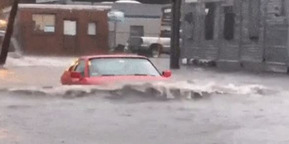 Drove on an interstate during a hurricane and watched all the cars around me get submerged