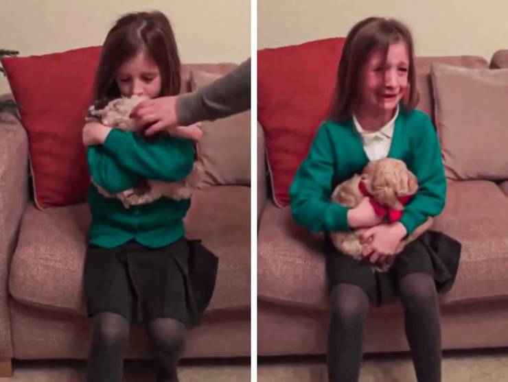 "This girl was holding her stuffed dog when her mom swapped it with a real puppy."