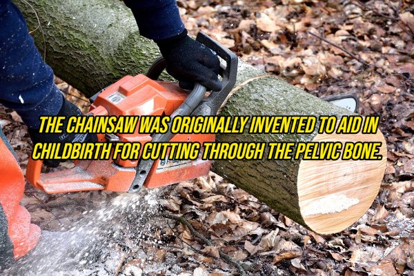 chainsaw wood - The Chainsaw Was Originally Invented Toaidin Childbirth For Cutting Through The Pelvic Bone