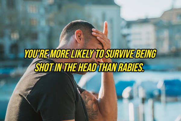 Headache - You'Re More ly To Survive Being Shot In The Head Than Rabies.