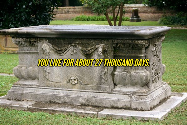 coffin tomb - You Live For About 27 Thousand Days.