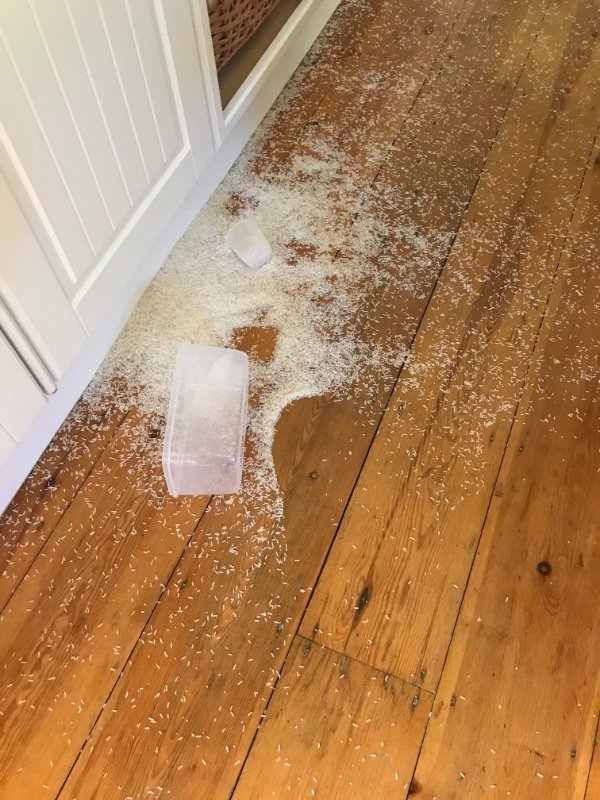 “Just dropped 2kg of rice.”