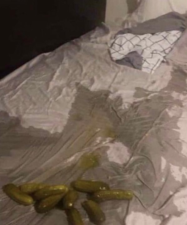 wtf pics - pickles on bed
