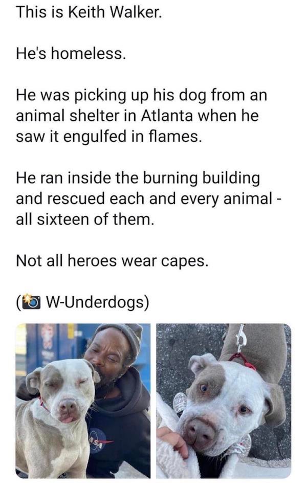 dog - This is Keith Walker. He's homeless. He was picking up his dog from an animal shelter in Atlanta when he saw it engulfed in flames. He ran inside the burning building and rescued each and every animal all sixteen of them. Not all heroes wear capes. 