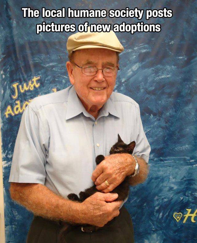 old man with kitten - The local humane society posts pictures of new adoptions Just Ada Oh