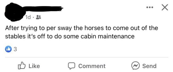 diagram - 1d After trying to per sway the horses to come out of the stables it's off to do some cabin maintenance 13 Comment Send