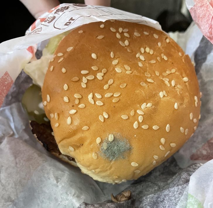 “The bun on this burger I ordered this morning.”