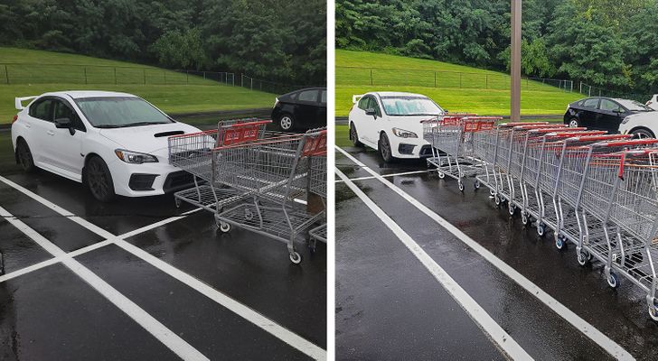 “Each person took a turn slamming their shopping cart into the front of my new car.”