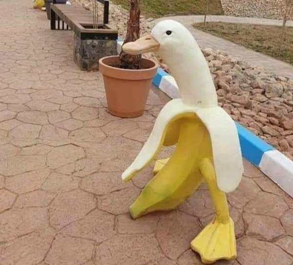 duck banana statue