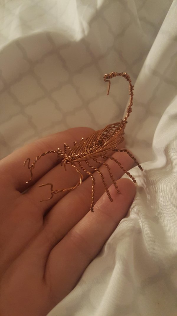 “Guy at work made me this scorpion out of copper wire.”