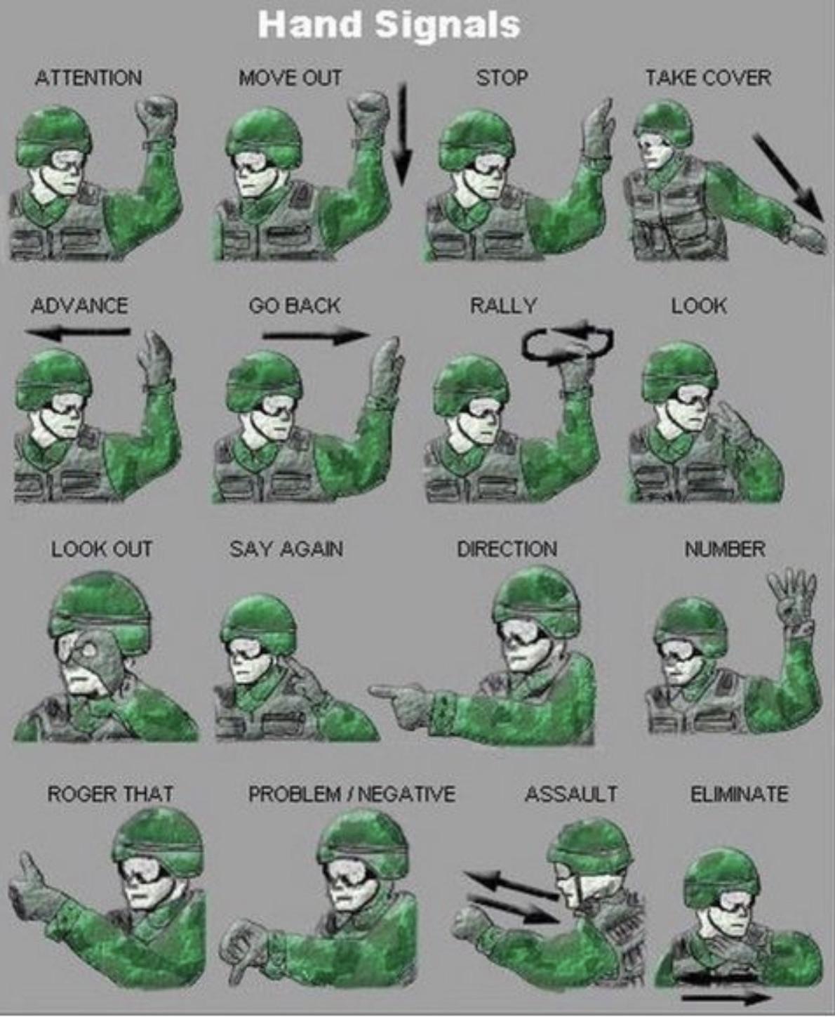 military hand signals - Hand Signals Move Out Stop Attention Take Cover Advance Go Back Rally Look Look Out Say Again Direction Number Roger That ProblemNegative Assault Eliminate