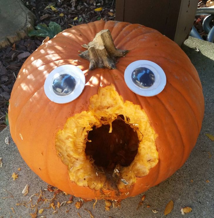 “My wife was bummed our pumpkin was ruined by animals. I fixed it.”