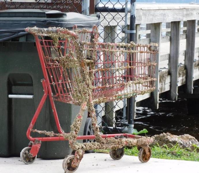 “A shopping cart left by the docks”