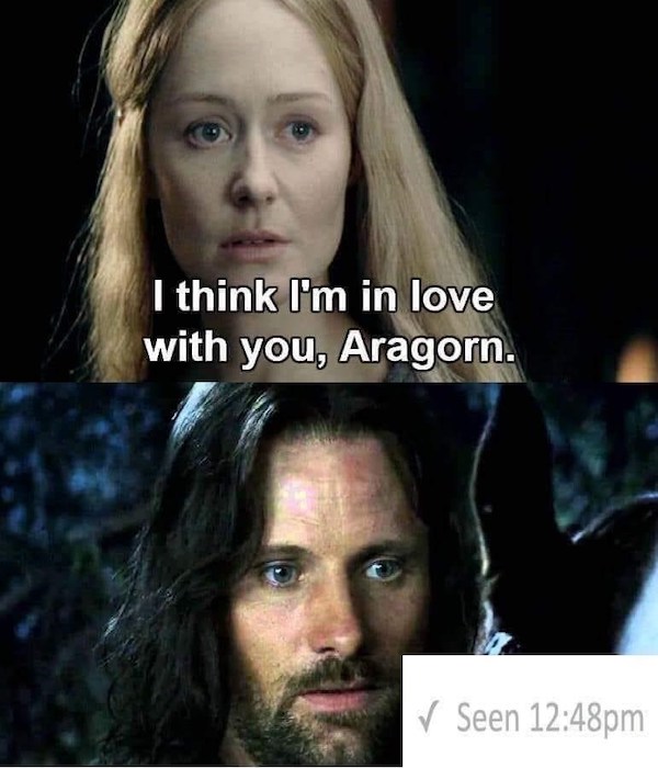 lotr memes - I think I'm in love with you, Aragorn. Seen pm