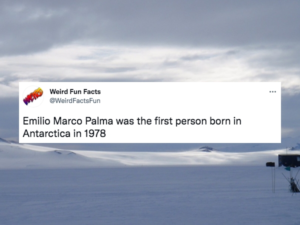 30 Weird Fun Facts For Your Day.