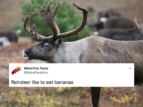 30 Weird Fun Facts For Your Day.