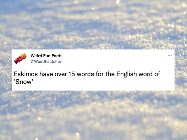 30 Weird Fun Facts For Your Day.