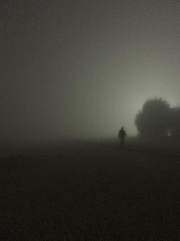 creepy and wtf pics - fog