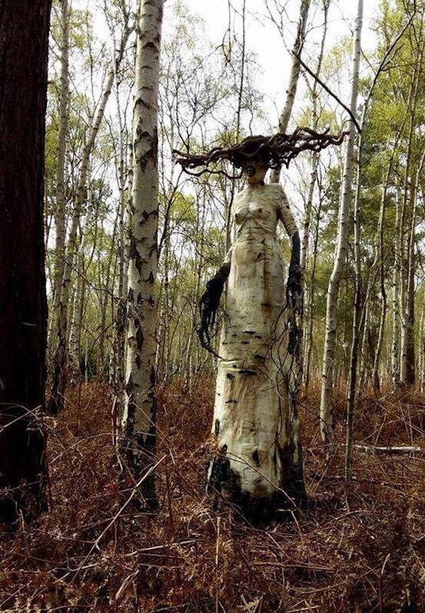 creepy and wtf pics - birch tree witch