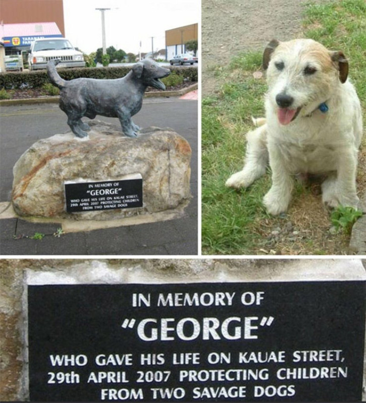 george kauae street - In Memory Of "George Who Gave Me On Eala Sie 2002 Protecting On From The Bogs In Memory Of George" Who Gave His Life On Kauae Street, 29th Protecting Children From Two Savage Dogs
