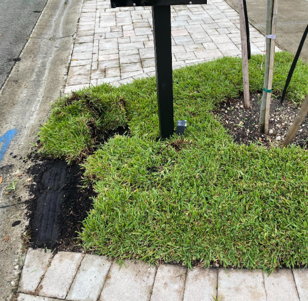 “Just installed grass and USPS must’ve hated it.”