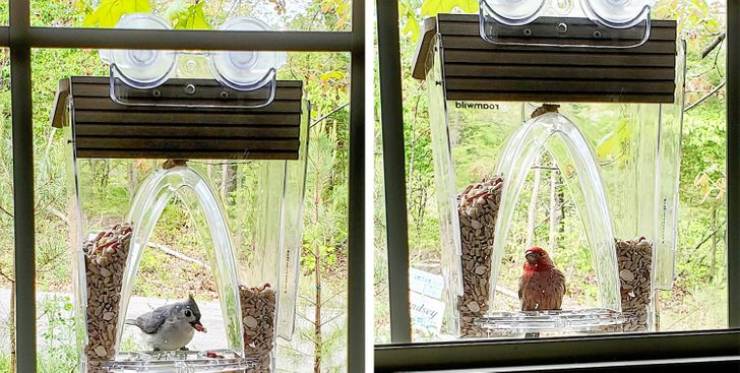 31 Unusual Designs That Are Really Cool.