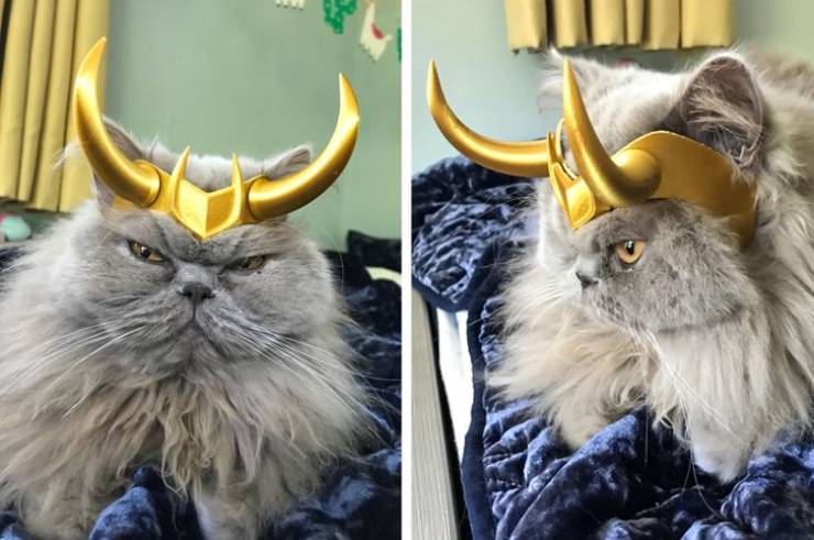 31 Unusual Designs That Are Really Cool.