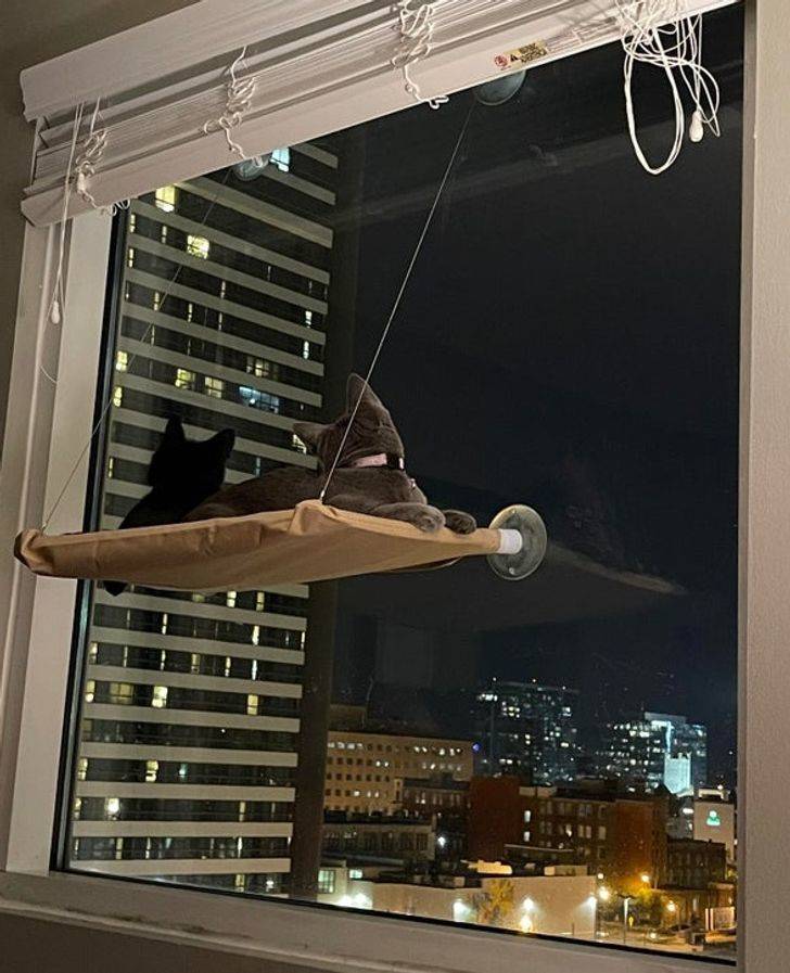 31 Unusual Designs That Are Really Cool.