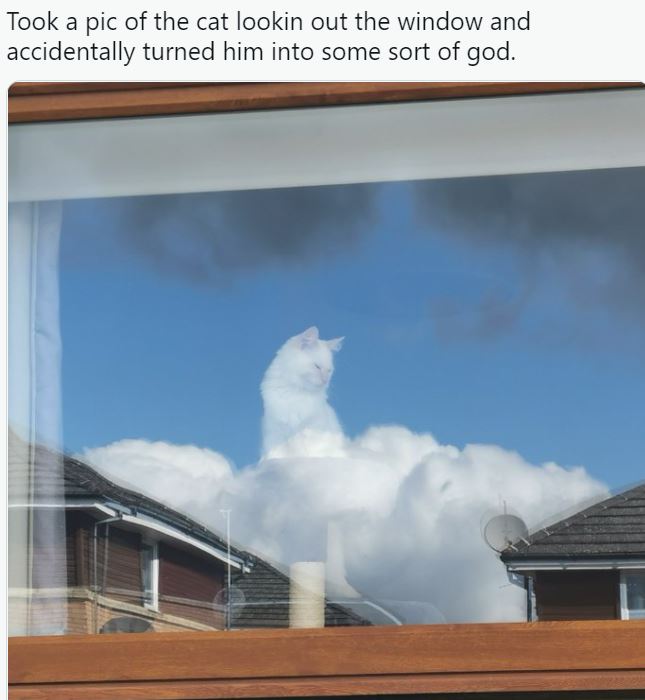 cat in clouds - Took a pic of the cat lookin out the window and accidentally turned him into some sort of god.