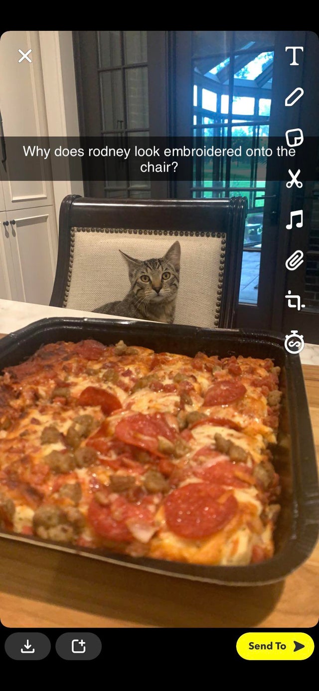 Took a picture of a pizza and notice my cat looked 2D.