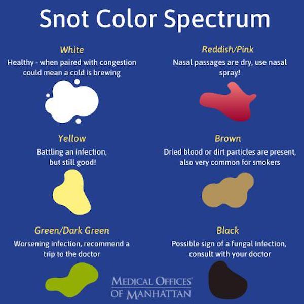 diagram - Snot Color Spectrum White Healthy when paired with congestion could mean a cold is brewing ReddishPink Nasal passages are dry, use nasal spray! Yellow Battling an infection, but still good! Brown Dried blood or dirt particles are present, also v