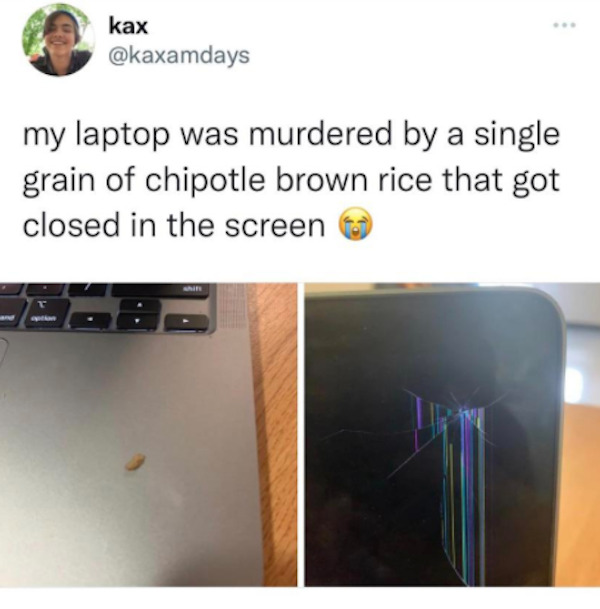 annoying peoples and things - chipotle brown rice laptop - kax my laptop was murdered by a single grain of chipotle brown rice that got closed in the screen